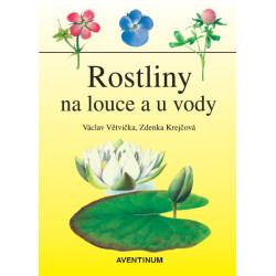 Rostliny na louce a u vody