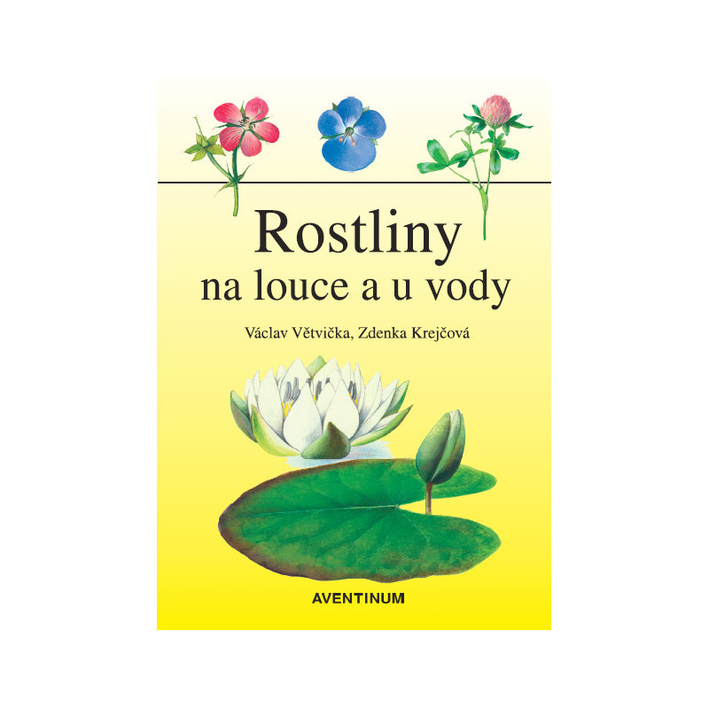 Rostliny na louce a u vody Rostliny na louce a u vody