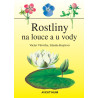 Rostliny na louce a u vody