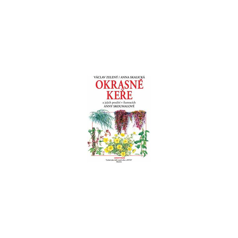 Okrasné keře Okrasné keře
