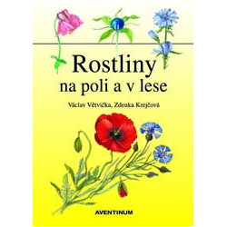 Rostliny na poli a v lese
