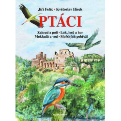 Ptáci