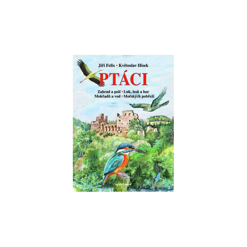Ptáci Ptáci