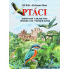 Ptáci