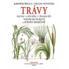 Trávy, traviny a trávníky v ilustracích Vojtěcha Štolfy a Zdenky Krejčové