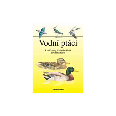 Vodní ptáci