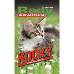 Kočky - rady pro chovatele