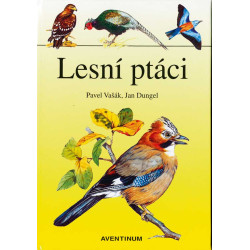 Lesní ptáci