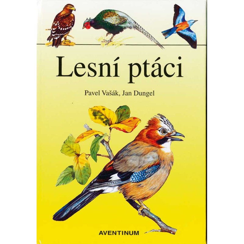 Lesní ptáci