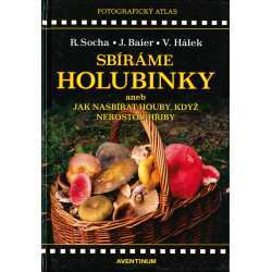 Sbíráme holubinky