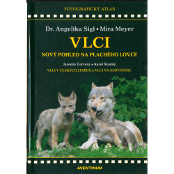 Vlci - nový pohled na plachého lovce