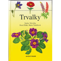 Trvalky