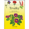 Trvalky