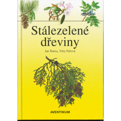 Stálezelené dřeviny