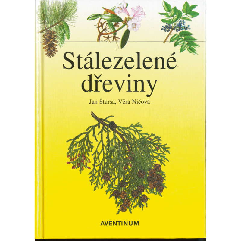 Stálezelené dřeviny Stálezelené dřeviny