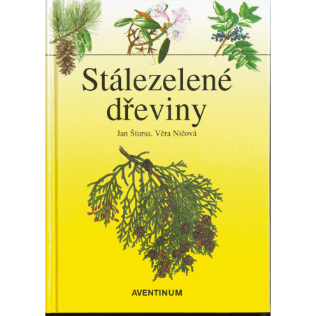 Stálezelené dřeviny