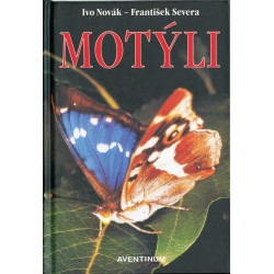 Motýli