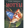 Motýli