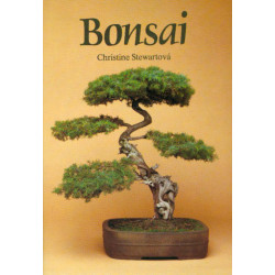 Bonsai