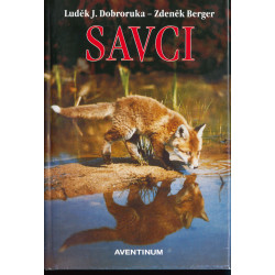 Savci