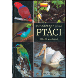 Ptáci