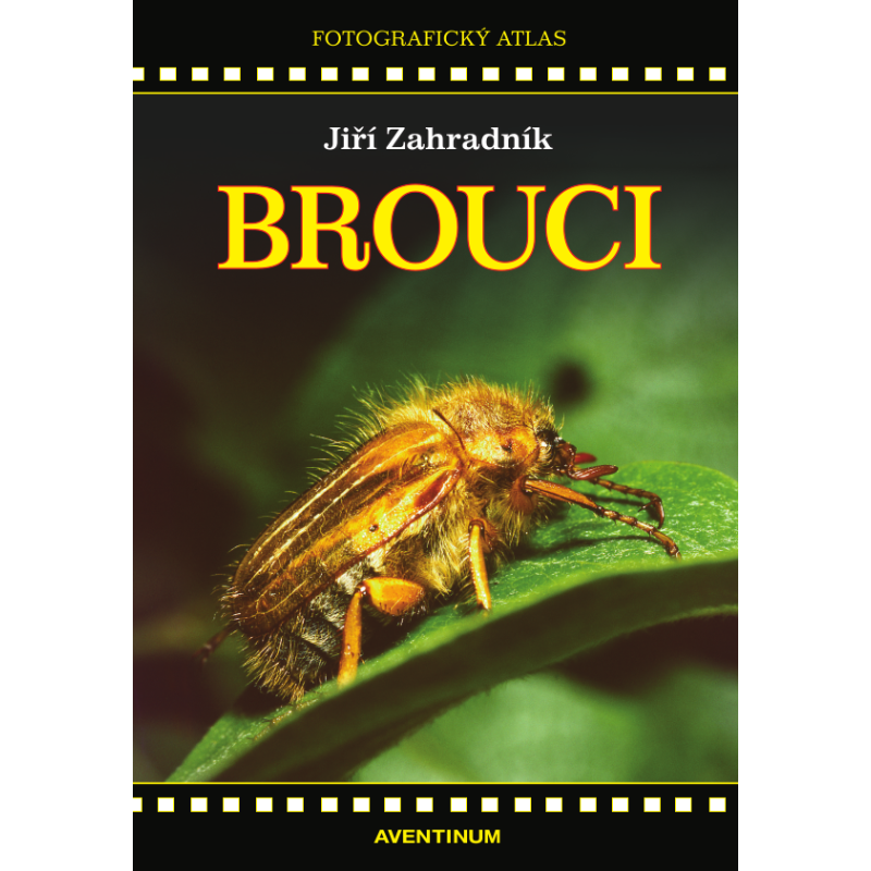 Brouci Brouci