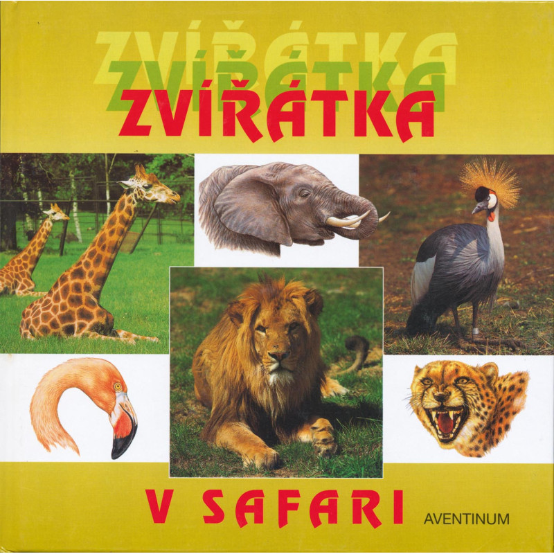 Zvířátka v safari