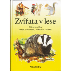 Zvířata v lese