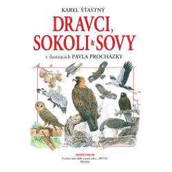 Dravci, sokoli a sovy