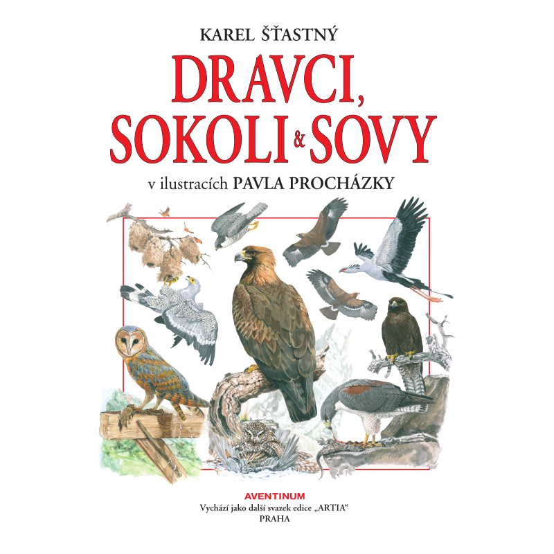 Dravci, sokoli a sovy