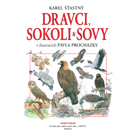 Dravci, sokoli a sovy