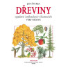 Dřeviny