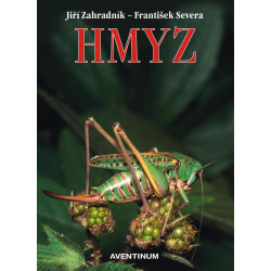 Hmyz