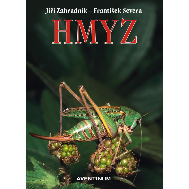 Hmyz