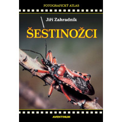 Šestinožci