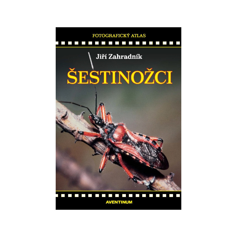 Šestinožci