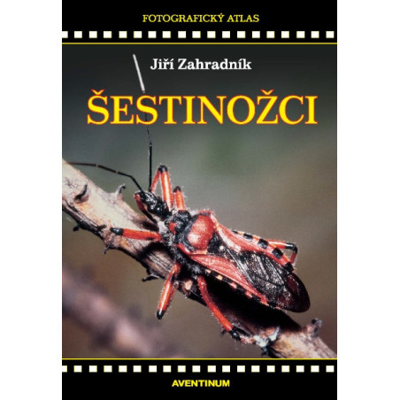 Šestinožci