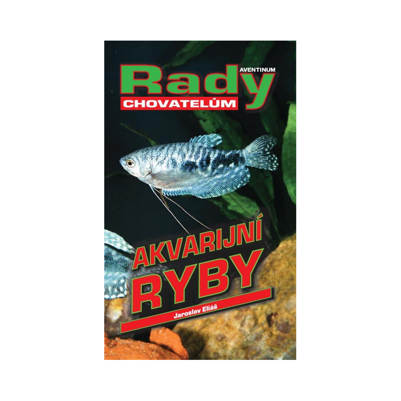 Akvarijní ryby - rady pro chovatele