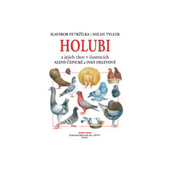 Holubi