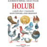 Holubi