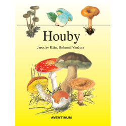 Houby