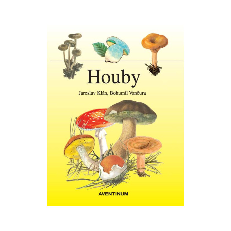 Houby Houby