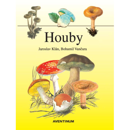 Houby