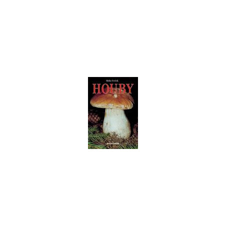 Houby