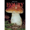 Houby