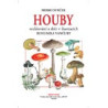 Houby - rozlišování a sběr v ilustracích B. Vančury