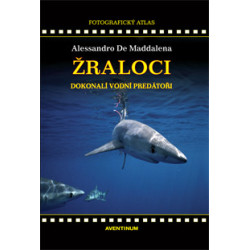 Žraloci - dokonalí vodní predátoři
