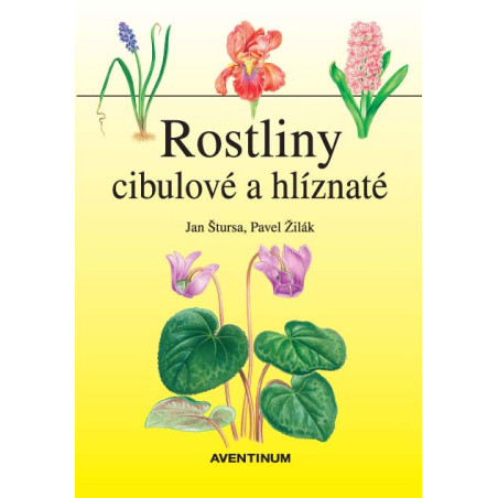 Rostliny cibulové a hlíznaté