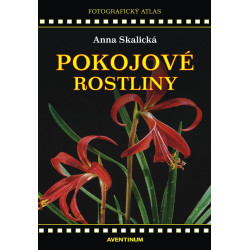 Pokojové rostliny