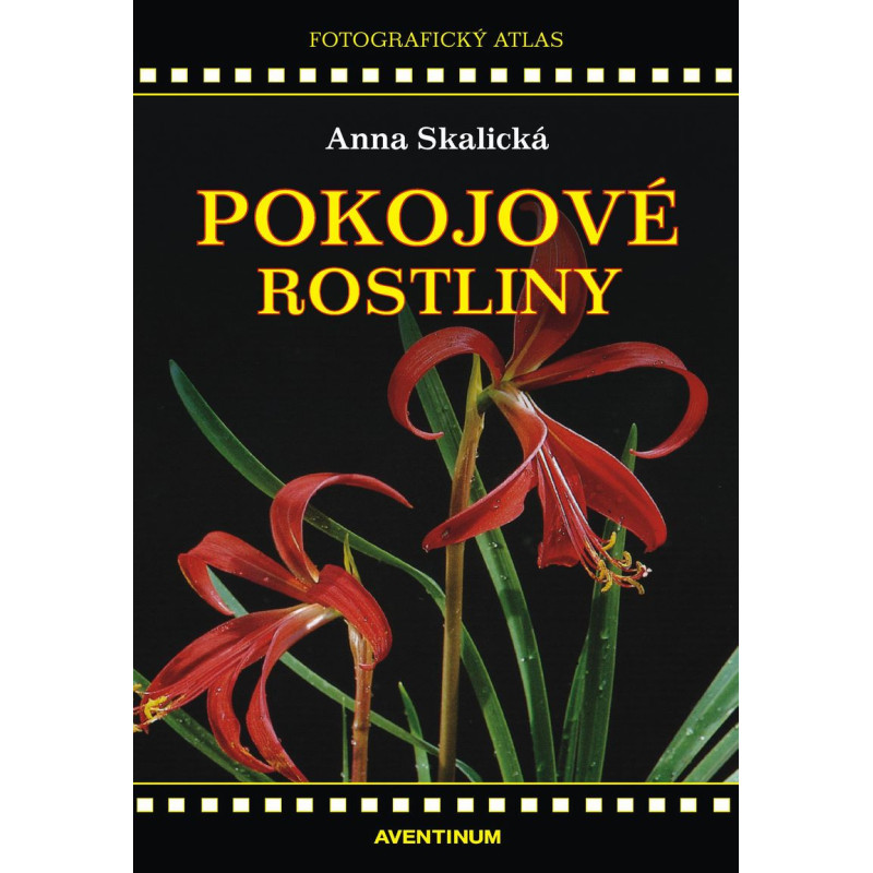 Pokojové rostliny Pokojové rostliny